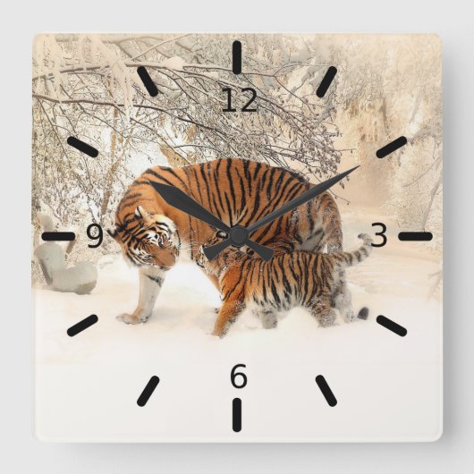 Tiger und Cube Quadratische Wanduhr (Vorderseite)