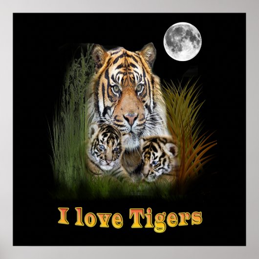 Tiger und Drehkreuze Poster (Vorne)