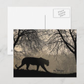 Tiger und Hirsch Postkarte (Vorne/Hinten)