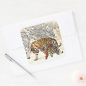 Tiger und ihre Cube Winter Day Snowy Woods Sticker (Umschlag)