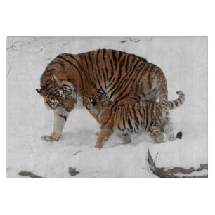 Tiger und Jungtier im Schnee Schneidebrett