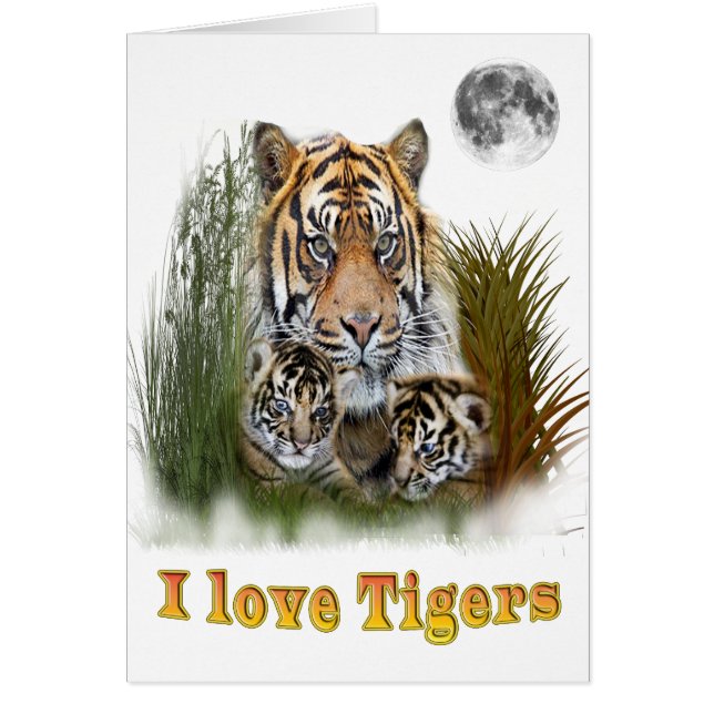 Tiger und Knochen (Vorne)