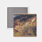 Tiger und Löwe Magnet (Vorderseite/Rückseite)