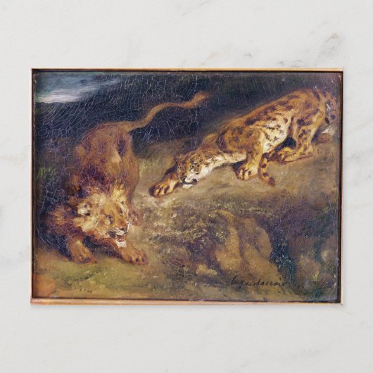 Tiger und Löwe Postkarte (Vorderseite)