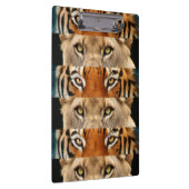 Tiger- und Löweaugen Foto Klemmbrett (Rechts)