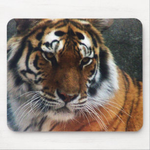 Tiger und Maus… Mousepad