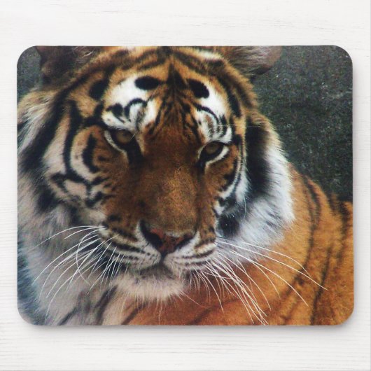 Tiger und Maus… Mousepad (Vorne)
