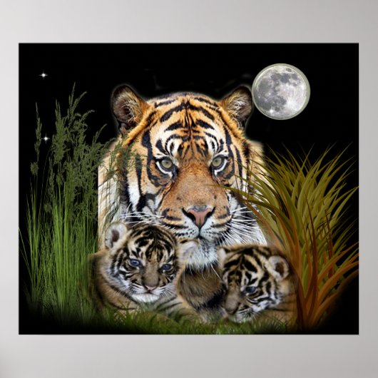 Tiger und Poster (Vorne)