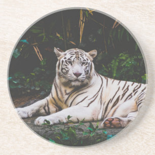 Tiger Untersetzer