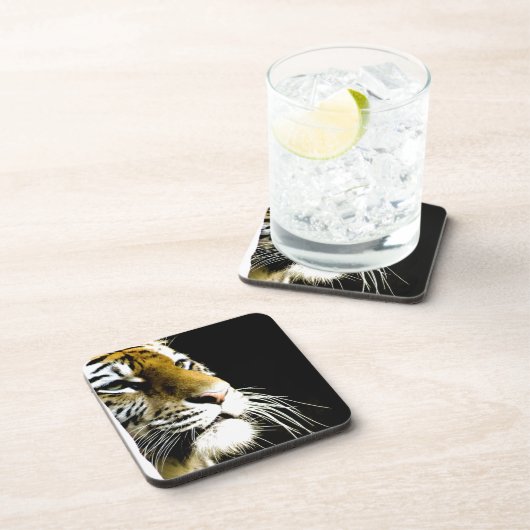 Tiger Untersetzer (Rechte Seite)