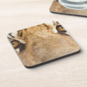 Tiger Untersetzer (Linke Seite)