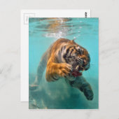 Tiger Unterwasser Postkarte (Vorne/Hinten)
