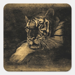 Tiger Vintag Art Sticker