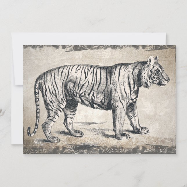 Tiger Vintag Wildlife Grunge Decorative (Vorderseite)