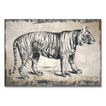 Tiger Vintag Wildlife Grunge Decorative