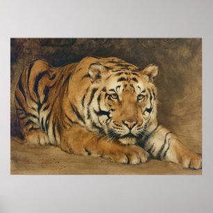 Tiger Vintage-Kunst, gedämpfte neutrale Vintage-Ku Poster