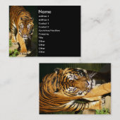 Tiger Visitenkarte (Vorne/Hinten)