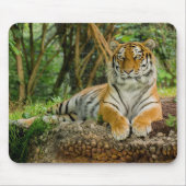 Tiger-voller Körper Mousepad (Vorne)