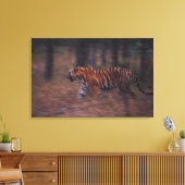 Tiger Walking durch Wald Leinwanddruck (Insitu (Wohnzimmer))