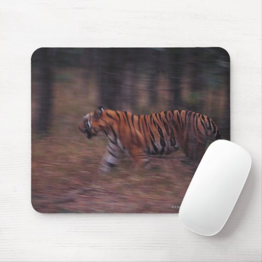 Tiger Walking durch Wald Mousepad (Mit Mouse)