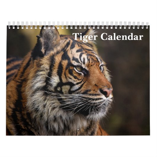 Tiger Wild Animal 2025 Kalender (Titelbild)