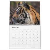 Tiger Wild Animal 2025 Kalender (Mär 2027)