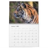 Tiger Wild Animal 2025 Kalender (Jan 2027)