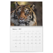 Tiger Wild Animal 2025 Kalender (Feb 2027)