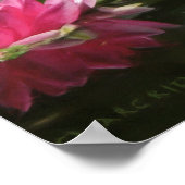 TIGER WILD PEACE POSTER (Ecke)