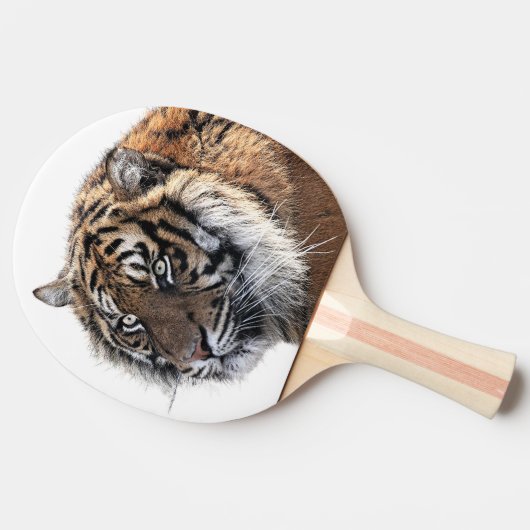Tiger-Wilddschungelzoo-Foto Tischtennis Schläger (Seitenansicht)