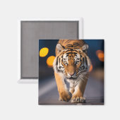 Tiger Wildlife Animal auf Straße im Freien Magnet (Vorderseite/Rückseite)