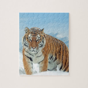 Tiger Winter Snow Mountains Tierisches Foto Puzzle