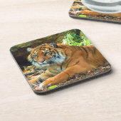 Tiger Wisdom Untersetzer Set (Linke Seite)