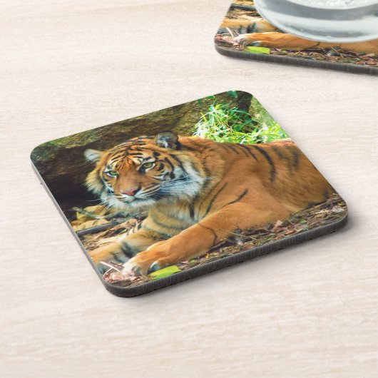 Tiger Wisdom Untersetzer Set (Linke Seite)