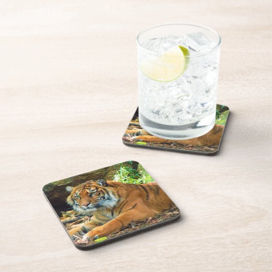 Tiger Wisdom Untersetzer Set (Rechte Seite)