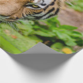 Tiger Wrapping Paper Geschenkpapier (Ecke)