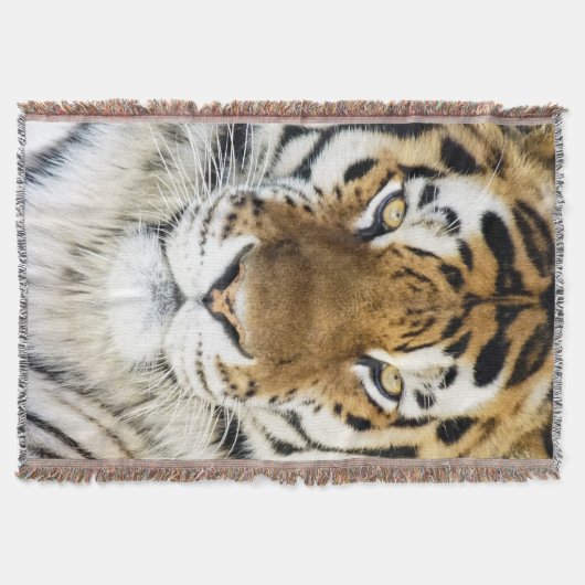 Tiger-Wurfs-Decke Decke (Vorderseite)