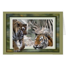 Tiger, Zebra, Giraffe, Liebesgeschenke