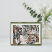 Tiger, Zebra, Giraffe, Liebesgeschenke Postkarte (Stehend Vorderseite)