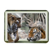 Tiger, Zebra, Giraffe, Urwald Magnet (Horizontal)