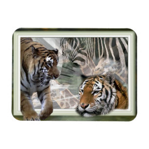 Tiger, Zebra, Giraffe, Urwald Magnet