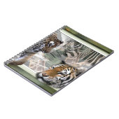 Tiger, Zebra, Giraffe, Urwald Notizblock (Linke Seite)