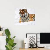 Tiger zeigt seine Fangzähne beim Schneevergnügen Poster (Heimbüro)