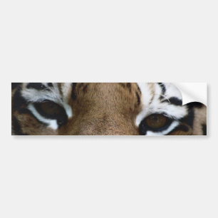 Tigeraugen Autoaufkleber
