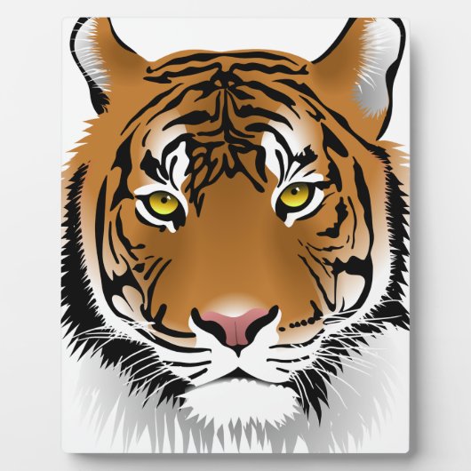 Tigeraugen Fotoplatte (Vorderseite)