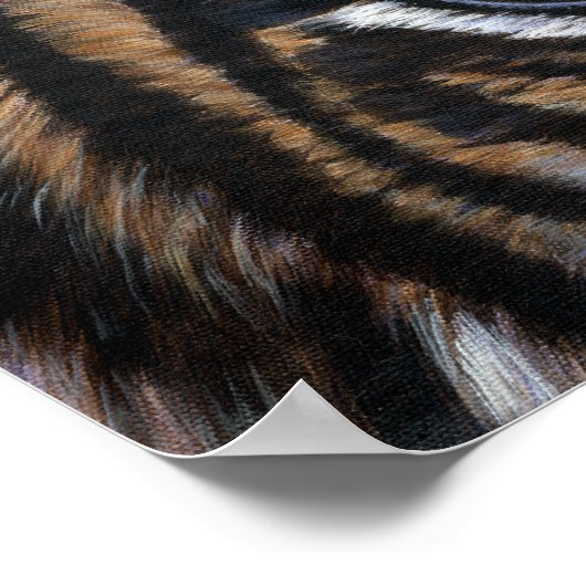Tigeraugen Poster (Ecke)