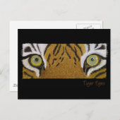 Tigeraugen Postkarte (Vorne/Hinten)