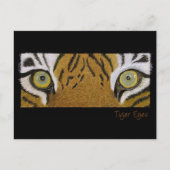 Tigeraugen Postkarte (Vorderseite)