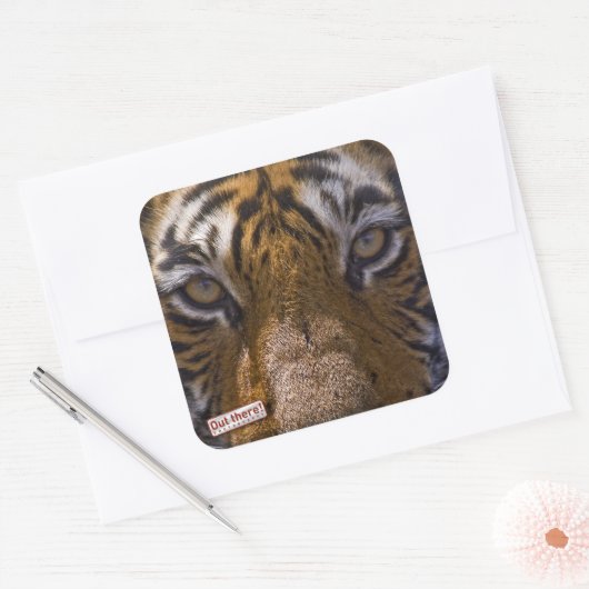 Tigeraugen Quadratischer Aufkleber (Umschlag)