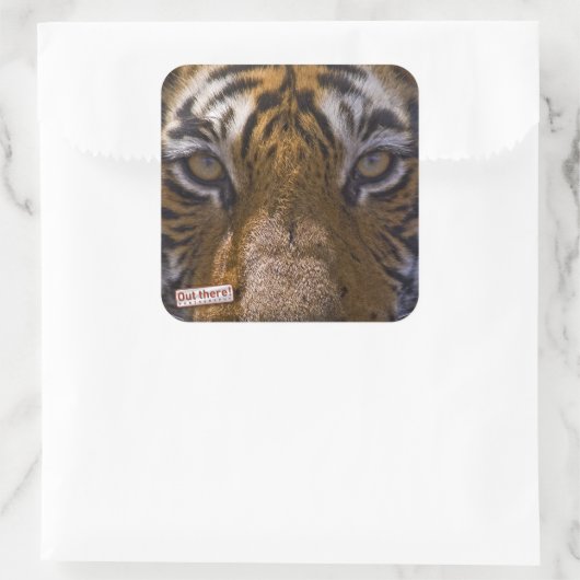 Tigeraugen Quadratischer Aufkleber (Tasche)